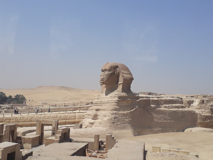 pharoah's head