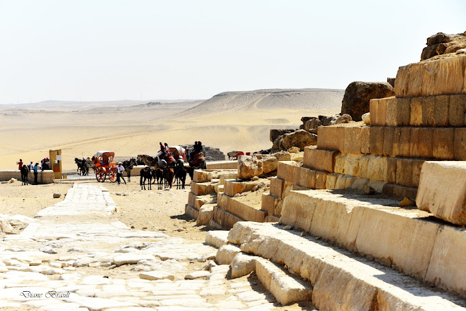 tourist on horse's